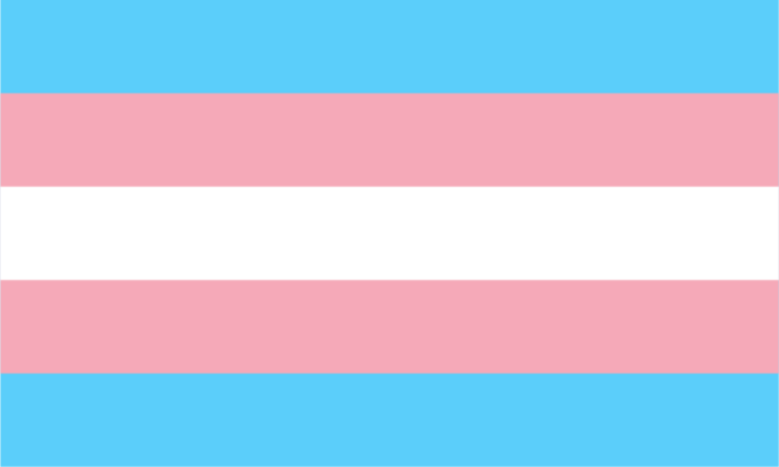 A transgender pride flag