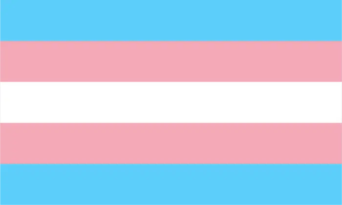 A transgender pride flag